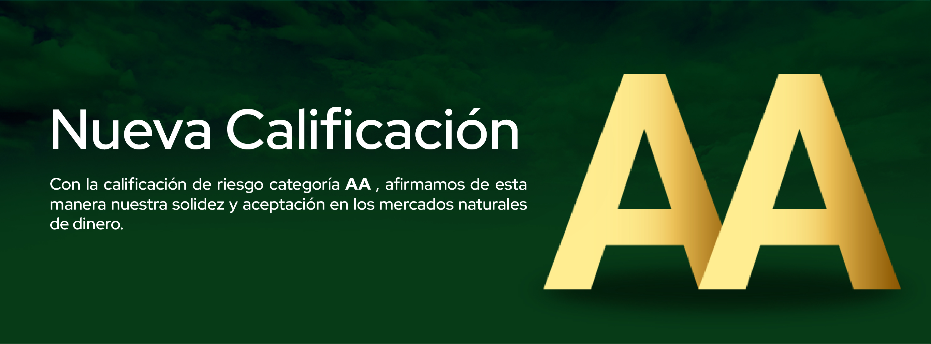 CALIFICACION AA